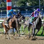 ABR Sunday Selections: Full-Card Picks for Oct. 25 at Belmont Park